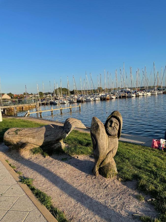 Top Ferienwohnung In Rerik - Nahe Salzhaff & Ostsee - Mit Gartenterrasse Zewnętrze zdjęcie
